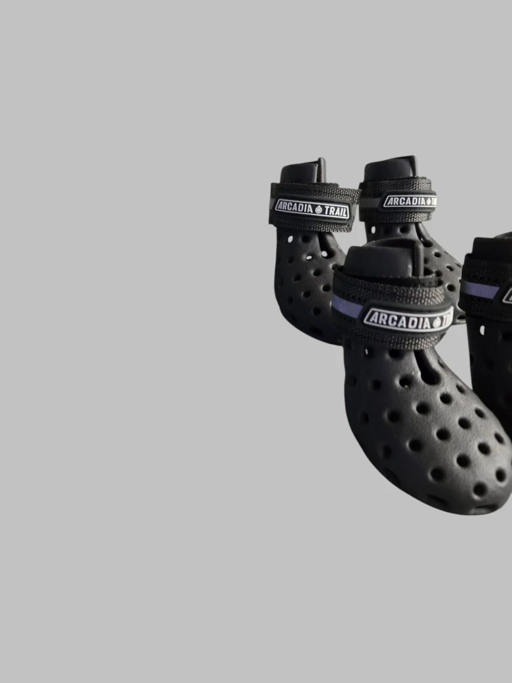 Arcadia Trail Black Dog Boot Set - 4 Pack